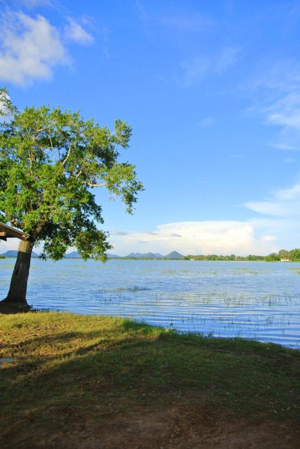 Flower Garden Lake Resort Tissamaharama Exterior foto